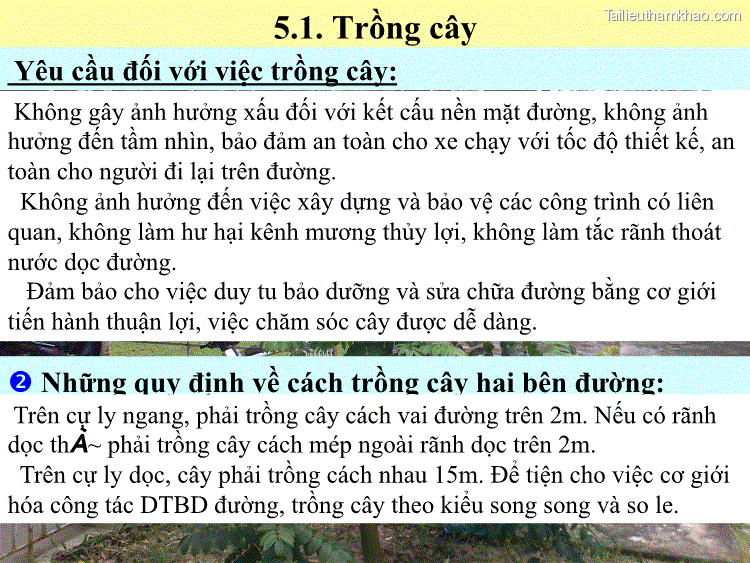 5 1 Trồng Cây Yêu Cầu Đối Với Việc Trồng Cây Không Gây Ảnh