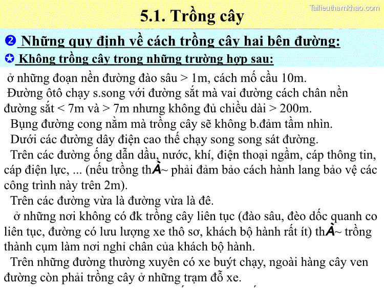 5 1 Trồng Cây  Những Quy Định Về Cách Trồng Cây Hai Bên Đường