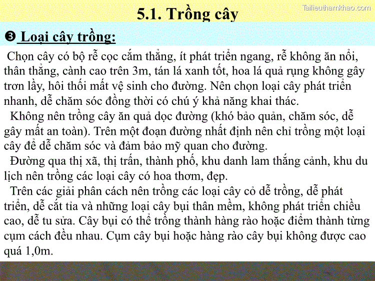  Loại Cây Trồng 5 1 Trồng Cây Chọn Cây Có Bộ Rễ Cọc Cắm