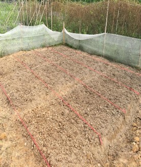 Within Groups 0 340499 8 0 042562 Total 1 624859 11 PHỤ LỤC 04 HÌNH ẢNH NGHIÊN CỨU 1