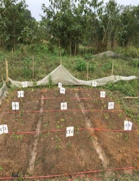 Within Groups 0 340499 8 0 042562 Total 1 624859 11 PHỤ LỤC 04 HÌNH ẢNH NGHIÊN CỨU 3