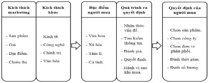 H nh vi phần lớn o cá t nh quyết đ nh Nguồn Philip Kotler 2001 SƠ Ồ 2 1 MÔ 1