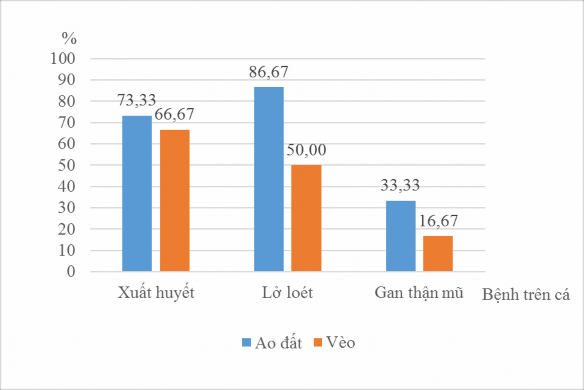 Hình 4 10 Một số bệnh thường gặp trên cá lóc Qua khảo sát về các bệnh cá 1
