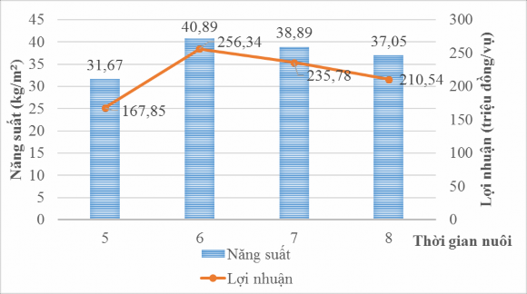 Hình 4 17 Mối tương quan giữa thời gian nuôi với năng suất thu hoạch của mô 4