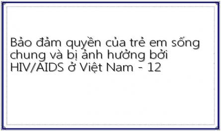 Bảo đảm quyền của trẻ em sống chung và bị ảnh hưởng bởi HIV/AIDS ở Việt Nam - 12