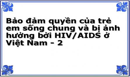 Bảo đảm quyền của trẻ em sống chung và bị ảnh hưởng bởi HIV/AIDS ở Việt Nam - 2