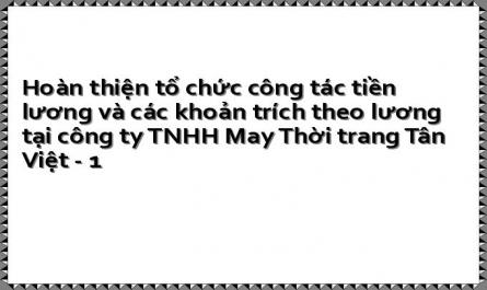 Hoàn thiện tổ chức công tác tiền lương và các khoản trích theo lương tại công ty TNHH May Thời trang Tân Việt - 1