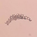 Mảnh mô mềm Hình 4 17 Soi bột lá Đinh lăng vật kính 40X Soi bột thân Đinh lăng 12