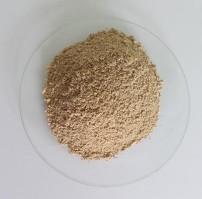 Hình 4 18 Bột thân Đinh lăng soi bột Soi dưới kính hiển vi thấy Tinh thể 14