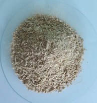 Hình 4 20 Bột rễ Đinh lăng Mạch mạng Mạch xoắn Mạch điểm Sợi kèm tinh thể 24