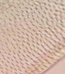 Mạch điểm Sợi kèm tinh thể Mảnh mô mềm Hạt tinh bột Bó sợi Sợi mô cứng 27