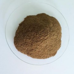 Hình 4 16 Bột lá Đinh lăng soi vi phẫu Nhiều hạt tinh bột hình chuông hình đa 4