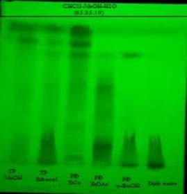UV 254 nm UV 365 nm Vanilin sulfuric TT Acid sulfuric 10 cồn Hình 4 24 Định tính 1