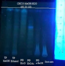 UV 254 nm UV 365 nm Vanilin sulfuric TT Acid sulfuric 10 cồn Hình 4 24 Định tính 2