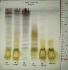 Vanilin sulfuric TT Acid sulfuric 10 cồn Hình 4 24 Định tính saponin bằng sắc kí 3