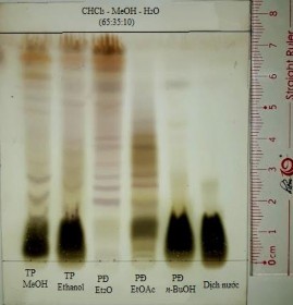 Vanilin sulfuric TT Acid sulfuric 10 cồn Hình 4 24 Định tính saponin bằng sắc kí 4