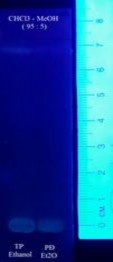 UV 365 nm TT acid sulfuric 10 cồn Hình 4 31 Sắc kí lớp mỏng cao ethyl acetat hệ S1 10