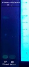 UV 365 nm TT acid sulfuric 10 cồn Hình 4 32 Sắc kí lớp mỏng cao ethyl acetat hệ S2 14