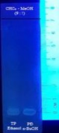 UV 365 nm Vanilin sulfuric TT Hình 4 34 Sắc kí lớp mỏng cao n butanol hệ S1 UV 254 nm 19