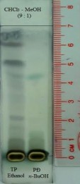 Vanilin sulfuric TT Hình 4 34 Sắc kí lớp mỏng cao n butanol hệ S1 UV 254 nm UV 365 nm 20