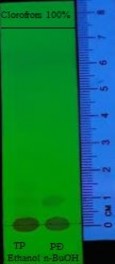 UV 254 nm UV 365 nm Vanilin sulfuric TT Hình 4 35 Sắc kí lớp mỏng cao n butanol hệ S2 22