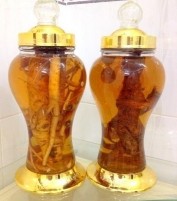 Rượu Đinh lăng Đinh lăng trà TRC Trà Đinh lăng Hoạt huyết dưỡng não HBN Gối 2