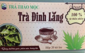 Trà Đinh lăng Hoạt huyết dưỡng não HBN Gối Đinh lăng Anh Việt Hình 2 10 Sản 4