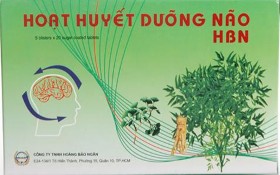 Hoạt huyết dưỡng não HBN Gối Đinh lăng Anh Việt Hình 2 10 Sản phẩm Đinh 5