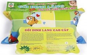 Gối Đinh lăng Anh Việt Hình 2 10 Sản phẩm Đinh lăng 2 2 TỔNG QUAN VỀ THÀNH 6