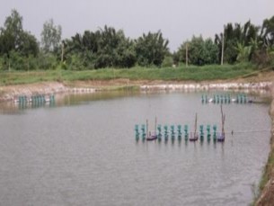 Mô hình nuôi quảng canh Là hình nuôi dựa hoàn toàn vào thức ăn tự nhiên trong 7