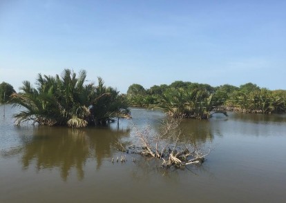 Hình 4 4 Mô hình 1 thực tế Mô hình 2 Mô hình 2 Cây ngập mặn trồng trên các 3