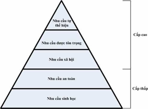 Hình 1 1 Mô hình Maslow Nguồn PGS TS Nguyễn Tài Phúc và ThS Bùi Văn Chiêm 2014 1