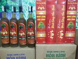 Rượu Đinh lăng Hòa Bình www goidinhlangthienduong com Viên nang Vanina Học viện quân 2