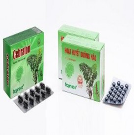 Cebraton Traphaco www baomoi com Hình 2 1 Một số chế phẩm từ Đinh lăng 2 2 GỐC 4