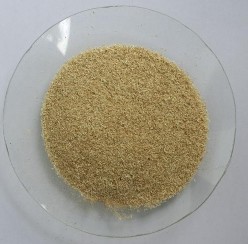 Hình 4 6 Bột rễ Đinh lăng Soi dưới kính hiển vi tìm thấy các cấu tử như sau 15