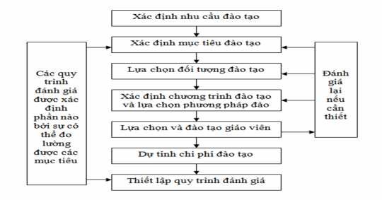 Sơ đồ 1 1 Trình tự xây dựng một chương trình đào tạo Nguồn Nguyễn Văn 1