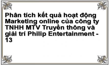 Phân tích kết quả hoạt động Marketing online của công ty TNHH MTV Truyền thông và giải trí Philip Entertainment - 13