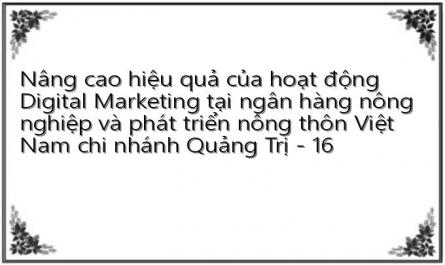Nâng cao hiệu quả của hoạt động Digital Marketing tại ngân hàng nông nghiệp và phát triển nông thôn Việt Nam chi nhánh Quảng Trị - 16