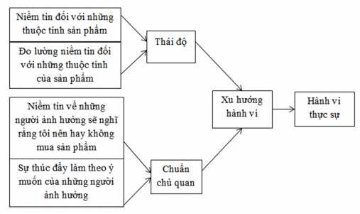 Nguồn Schiffman và Kanuk 2009 Hình 1 1 Mô hình Thuyết hành động hợp lí Theory 1