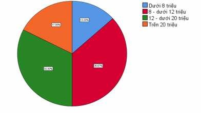 Biểu đồ 2 4 Biểu đồ điều tra theo thu nhập Cơ cấu mẫu theo thu nhập Mức 2
