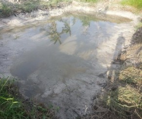 Hình 3 1 Ao dùng bố trí thí nghiệm Giai nuôi cá được may bằng lưới với quy 2