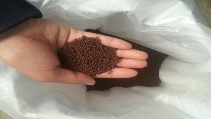 Hình 3 3 Thức ăn dùng trong thí nghiệm Nguồn tự chụp Bảng 3 1 Thành phần 4