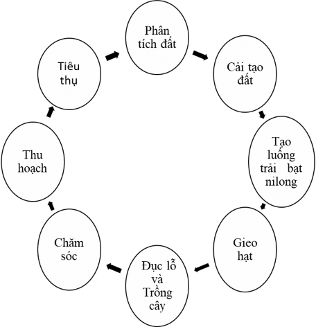 Hình 2 6 Sơ đồ quy trình tạo ra sản phẩm của TT Yoshio Takamizawa Thuyết minh quy 1