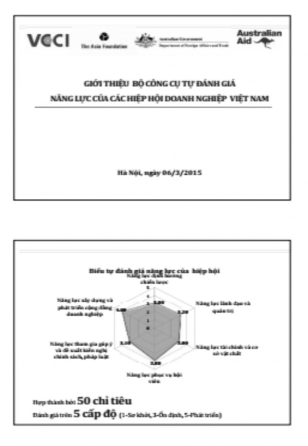 Phụ lục 3 Bộ công cụ tự đánh giá năng lực HHDN của VCCI 1