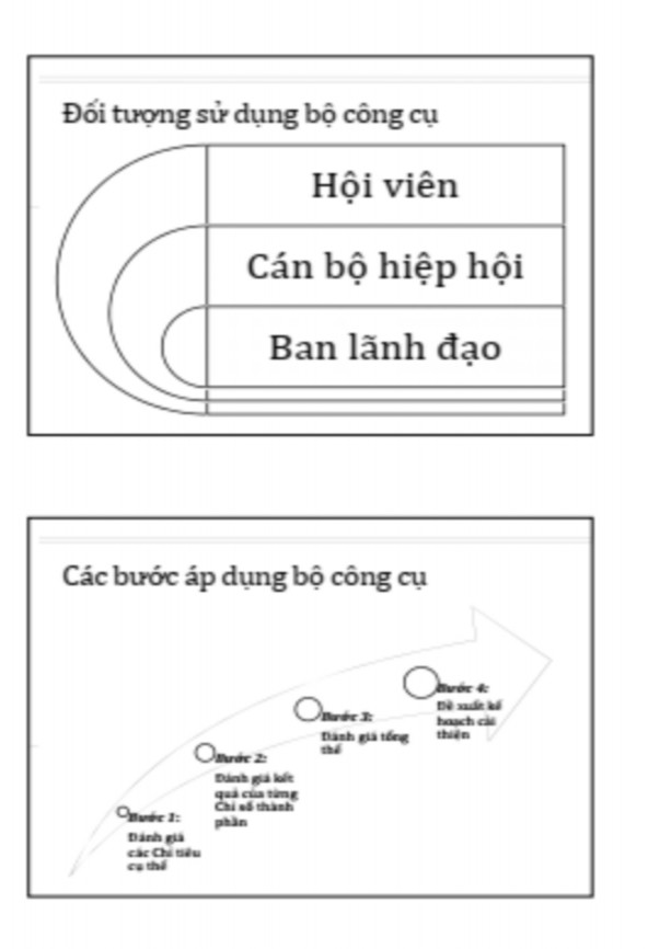 Phụ lục 3 Bộ công cụ tự đánh giá năng lực HHDN của VCCI 2