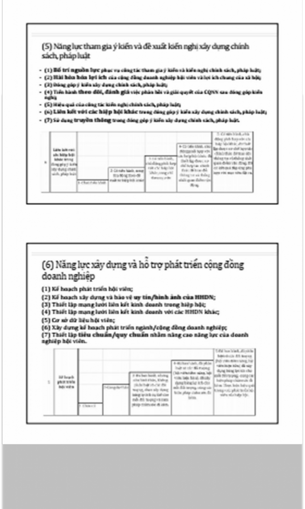 Phụ lục 3 Bộ công cụ tự đánh giá năng lực HHDN của VCCI 5