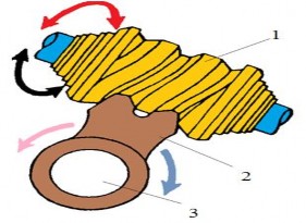 Hình 1 11 Cơ cấu lái kiểu trục vít – cung răng 1 Trục vít 2 Cung răng 3 Trục 2