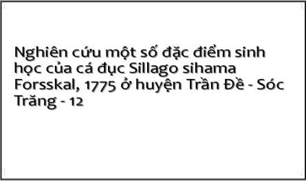 Nghiên cứu một số đặc điểm sinh học của cá đục Sillago sihama Forsskal, 1775 ở huyện Trần Đề - Sóc Trăng - 12