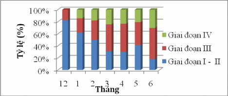 Hình 4 12 Giai đoạn thành thục sinh dục của cá đục cái Sillago sihama qua các 1