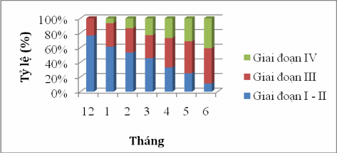 Hình 4 13 Giai đoạn thành thục sinh dục của cá đục đực Sillago sihama qua các 2